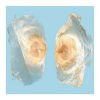 176-thickbox_default-Graines-doroxyli-indici-380x252-1.jpg Oroxyli indici seed (Mu Hu Die)