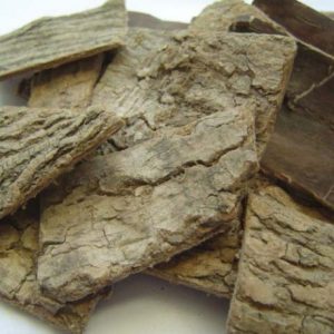 Eucommia bark (Du Zhong)