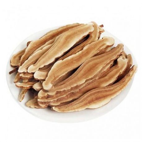 Ganoderma Lucidum (Lingzhi or Reishi)