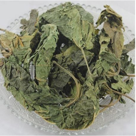 215-thickbox_default-Feuille-du-murier-blanc-Sang-Ye-e1492679832336-458x458-1.jpg White mulberry leaf (Sang Ye)