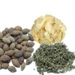 Lungs herbal tea