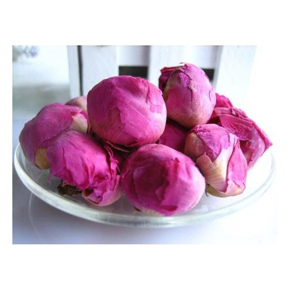 Peony buds