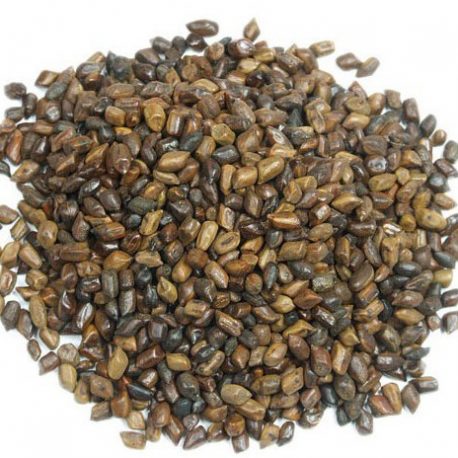 98-thickbox_default-Graines-de-cassia-e1493525089473-458x458-1.jpg Cassia seeds (Jue Ming Zi)