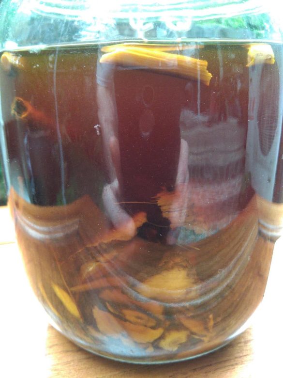 herbes-dans-bocal.jpg Zheng Gu Shui kit with spray bottle